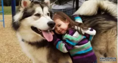 <b>這幾種表現證明狗狗真的很愛你！</b>