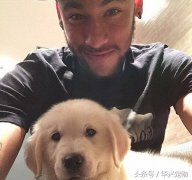 世界杯來了！讓我們扒一扒這些超級巨星們都在