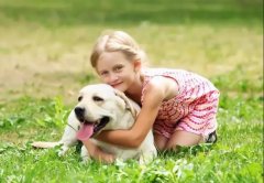 養狗一陣子，狗記一輩子