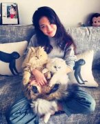 全世界最貴的貓都在這了！大多數(shù)人一輩子都沒