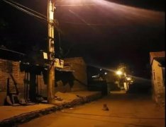 記憶中的老街巷口，有沒有一條等你回家的狗？