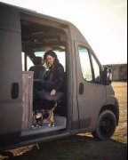 流浪貓私自闖上車(chē)被趕出，最后居然搭上順風(fēng)車(chē)