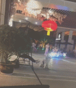 假如狗子能上網打字發圈，它會說... ?