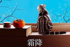 霜降丨縱然霜華盡染，心中美好如初