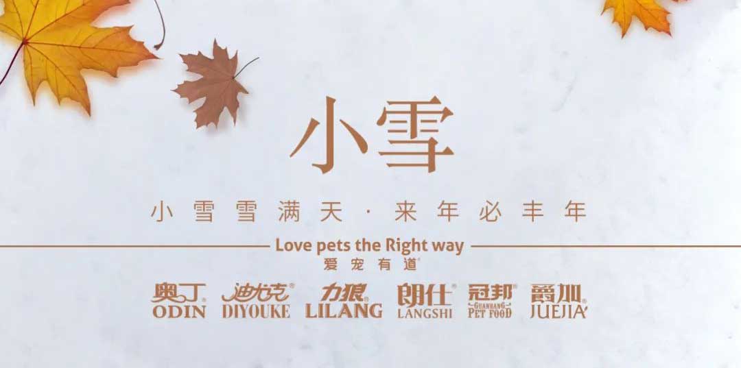 小雪丨天地初寒，歲月安暖